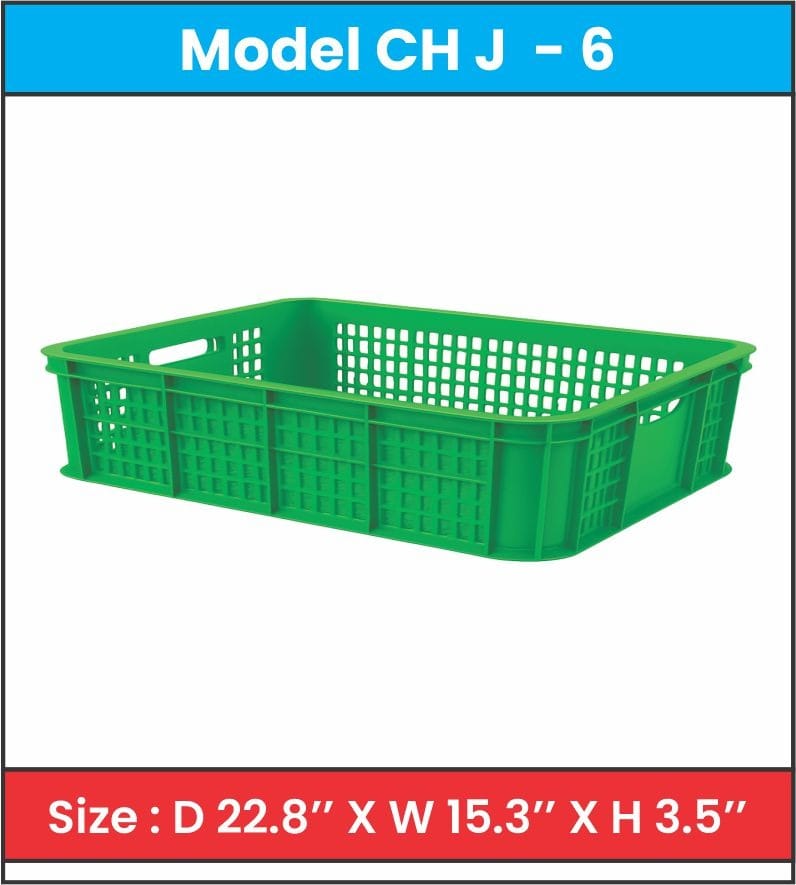 WhatsApp Image 2025-08-28 at 22.16.58_7cc87b29